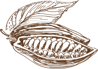 Coffee Bean